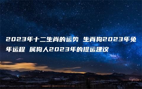 2023年十二生肖的运势 生肖狗2023年兔年运程 属狗人2023年的提运建议