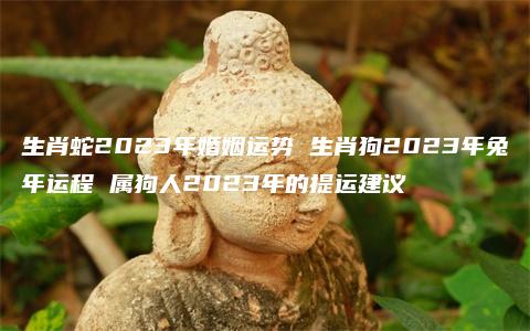 生肖蛇2023年婚姻运势 生肖狗2023年兔年运程 属狗人2023年的提运建议