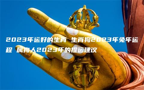 2023年运好的生肖 生肖狗2023年兔年运程 属狗人2023年的提运建议