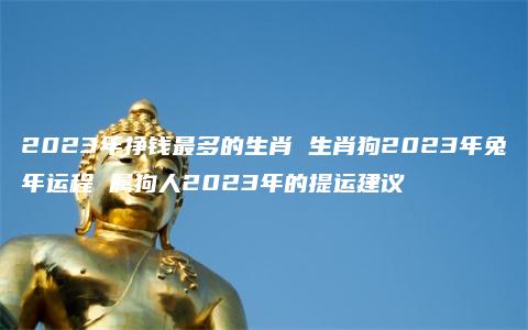 2023年挣钱最多的生肖 生肖狗2023年兔年运程 属狗人2023年的提运建议