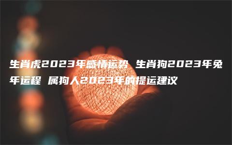 生肖虎2023年感情运势 生肖狗2023年兔年运程 属狗人2023年的提运建议