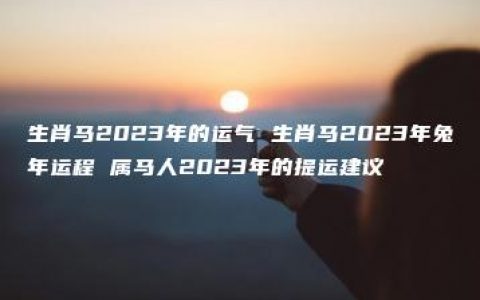 生肖马2023年的运气 生肖马2023年兔年运程 属马人2023年的提运建议