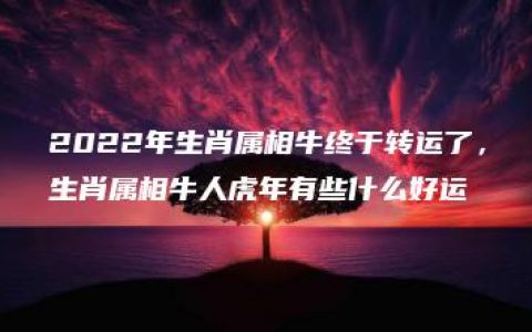 2022年生肖属相牛终于转运了，生肖属相牛人虎年有些什么好运