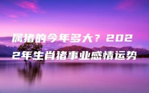 属猪的今年多大？2022年生肖猪事业感情运势