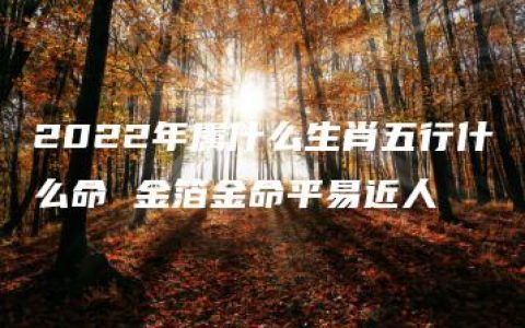 2022年属什么生肖五行什么命 金箔金命平易近人