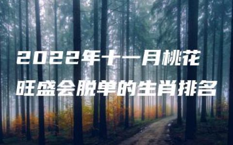 2022年十一月桃花旺盛会脱单的生肖排名