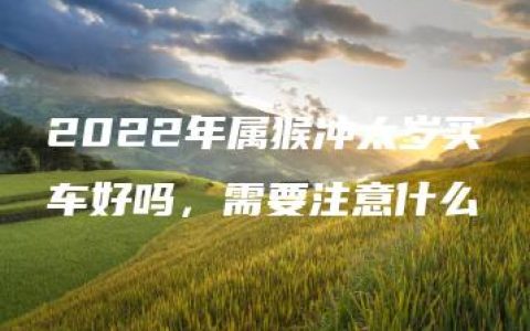 2022年属猴冲太岁买车好吗，需要注意什么