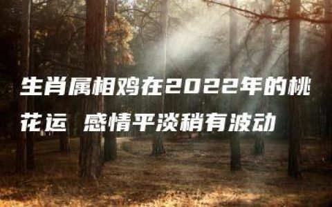 生肖属相鸡在2022年的桃花运 感情平淡稍有波动