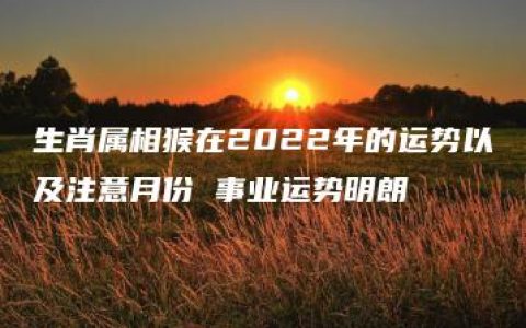 生肖属相猴在2022年的运势以及注意月份 事业运势明朗