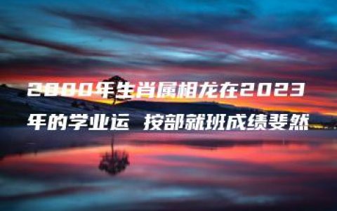 2000年生肖属相龙在2023年的学业运 按部就班成绩斐然