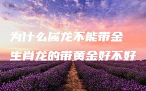 为什么属龙不能带金 生肖龙的带黄金好不好