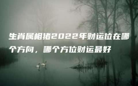 生肖属相猪2022年财运位在哪个方向，哪个方位财运最好