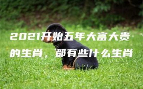 2021开始五年大富大贵的生肖，都有些什么生肖