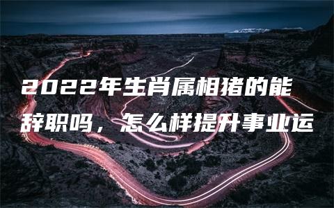 2022年生肖属相猪的能辞职吗，怎么样提升事业运