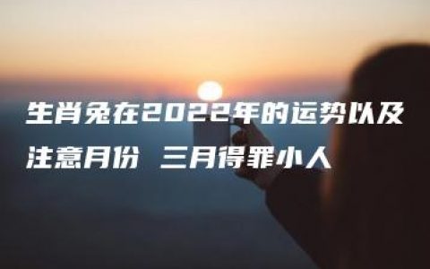 生肖兔在2022年的运势以及注意月份 三月得罪小人