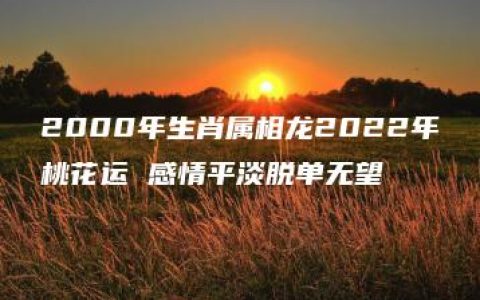 2000年生肖属相龙2022年桃花运 感情平淡脱单无望