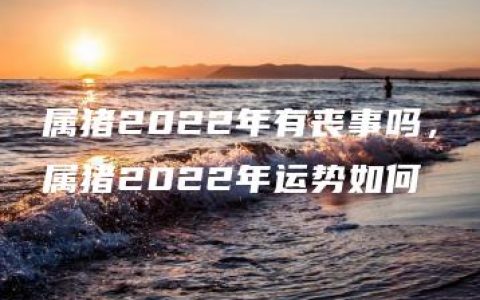 属猪2022年有丧事吗，属猪2022年运势如何