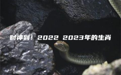 财神到！2022〜2023年的生肖