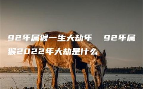 92年属猴一生大劫年  92年属猴2022年大劫是什么