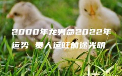 2000年龙男命2022年运势 贵人运旺前途光明