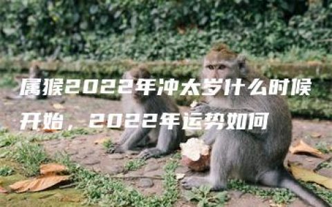 属猴2022年冲太岁什么时候开始，2022年运势如何