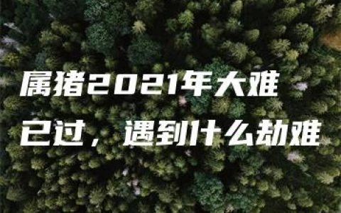 属猪2021年大难已过，遇到什么劫难