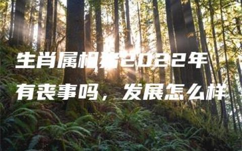 生肖属相猪2022年有丧事吗，发展怎么样