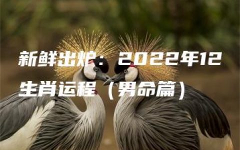 新鲜出炉：2022年12生肖运程（男命篇）