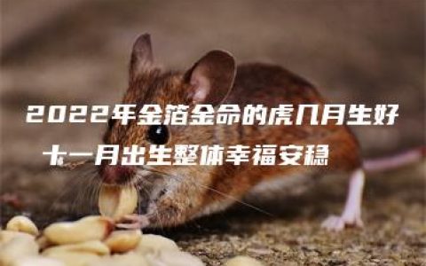 2022年金箔金命的虎几月生好 十一月出生整体幸福安稳