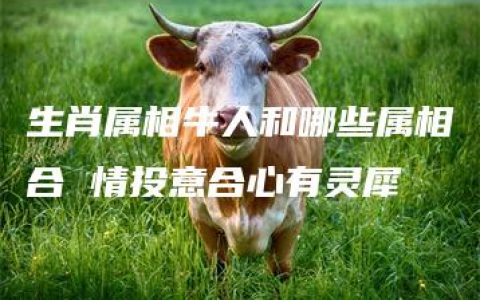 生肖属相牛人和哪些属相合 情投意合心有灵犀