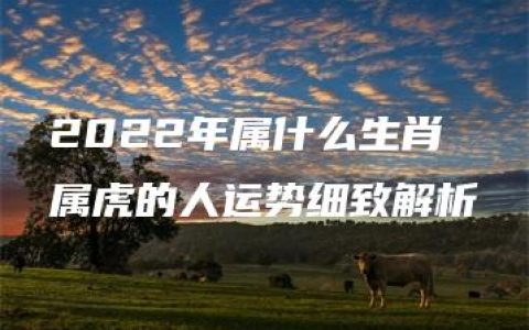 2022年属什么生肖 属虎的人运势细致解析