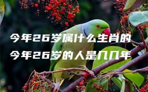 今年26岁属什么生肖的 今年26岁的人是几几年