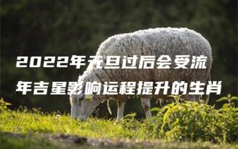 2022年元旦过后会受流年吉星影响运程提升的生肖