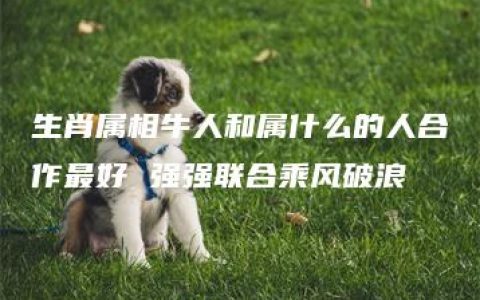 生肖属相牛人和属什么的人合作最好 强强联合乘风破浪