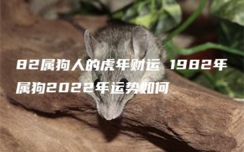 82属狗人的虎年财运 1982年属狗2022年运势如何