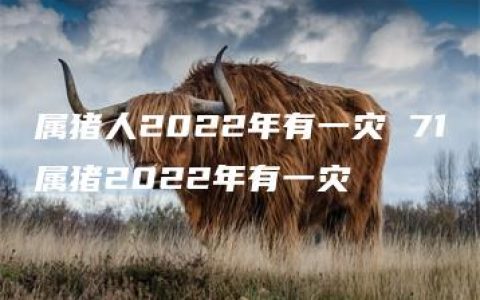 属猪人2022年有一灾 71属猪2022年有一灾