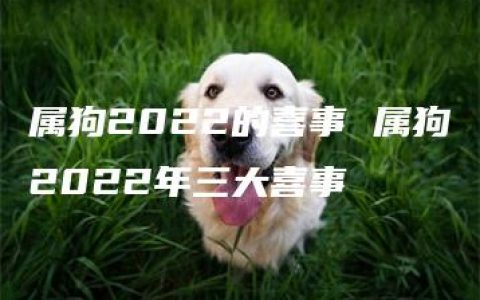 属狗2022的喜事 属狗2022年三大喜事