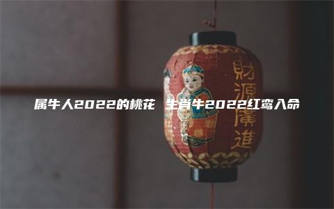 属牛人2022的桃花 生肖牛2022红鸾入命