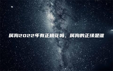 属狗2022年有正桃花吗，属狗的正缘是谁