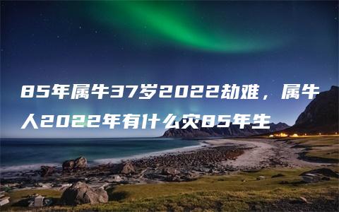 85年属牛37岁2022劫难，属牛人2022年有什么灾85年生