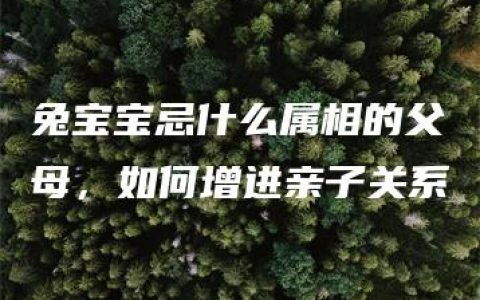 兔宝宝忌什么属相的父母，如何增进亲子关系