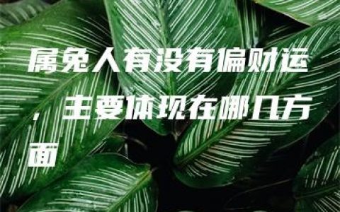 属兔人有没有偏财运，主要体现在哪几方面