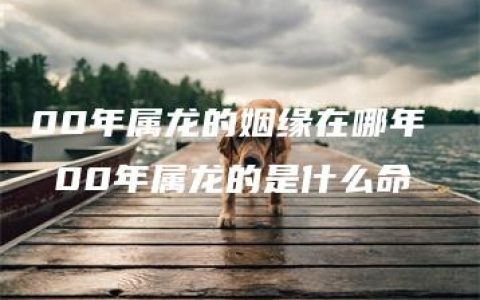 00年属龙的姻缘在哪年  00年属龙的是什么命