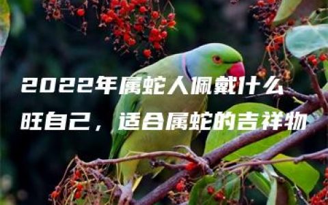 2022年属蛇人佩戴什么旺自己，适合属蛇的吉祥物