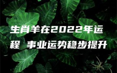 生肖羊在2022年运程 事业运势稳步提升