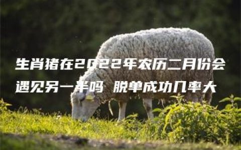 生肖猪在2022年农历二月份会遇见另一半吗 脱单成功几率大