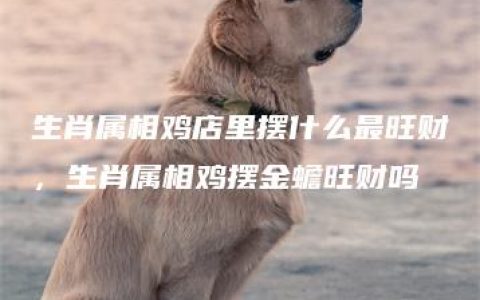 生肖属相鸡店里摆什么最旺财，生肖属相鸡摆金蟾旺财吗