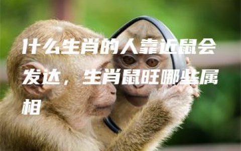 什么生肖的人靠近鼠会发达，生肖鼠旺哪些属相