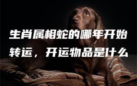 生肖属相蛇的哪年开始转运，开运物品是什么