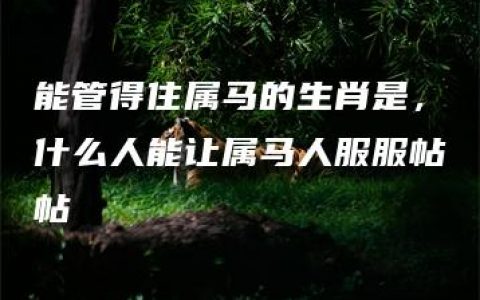 能管得住属马的生肖是，什么人能让属马人服服帖帖